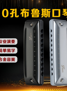 全音阶十孔PADDY调专业演奏级布鲁斯口琴10孔入门初学练习