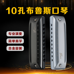 全音阶十孔PADDY调专业演奏级布鲁斯口琴10孔入门初学练习