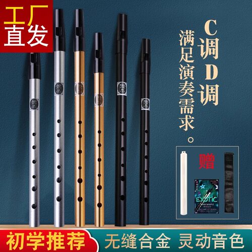 爱尔兰哨笛子C调D调铝合金材质送教材初学者学生校园成人零基础