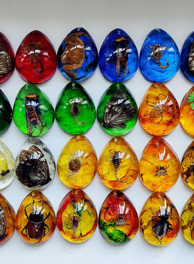 天然昆虫标本人造琥珀饰品