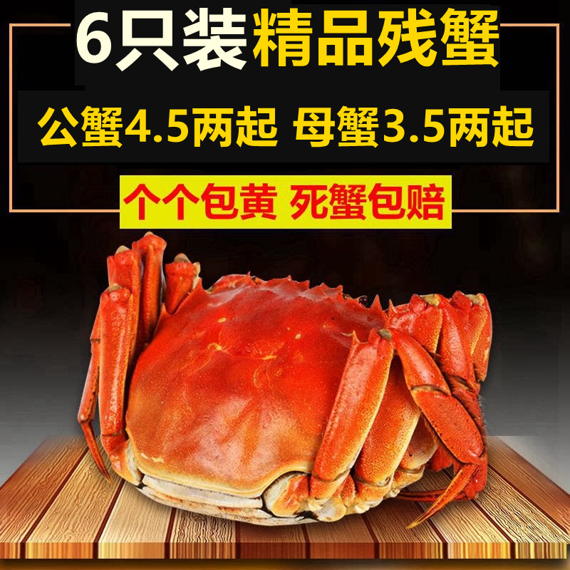 自产自销大蟹性价比高
