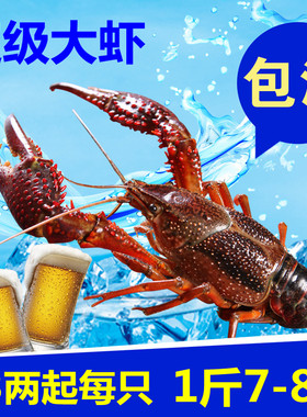江苏超级大虾1.3两一只 自养清水鲜活小龙虾活虾生鲜1斤装7到8只