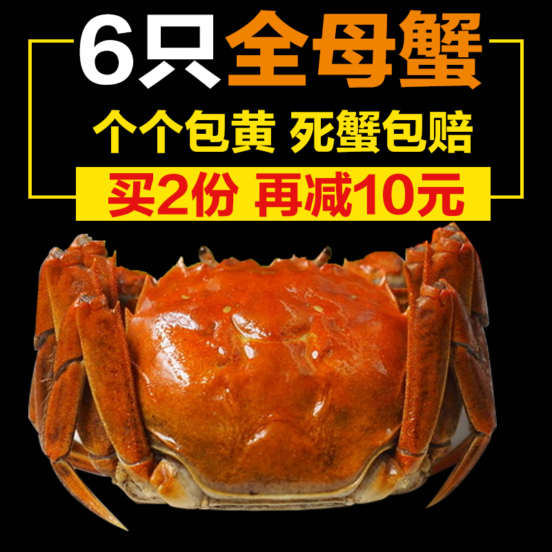 固城湖6只鲜活大闸蟹顺丰包邮