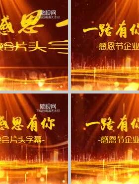 H409PR模板开场视频虎年企业年会晚会活动震撼大气片头片尾pr素材