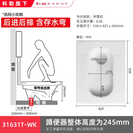 科勒卡丽蹲便器水箱蹲坑家用陶瓷蹲厕大便器便池套装31631T-WK