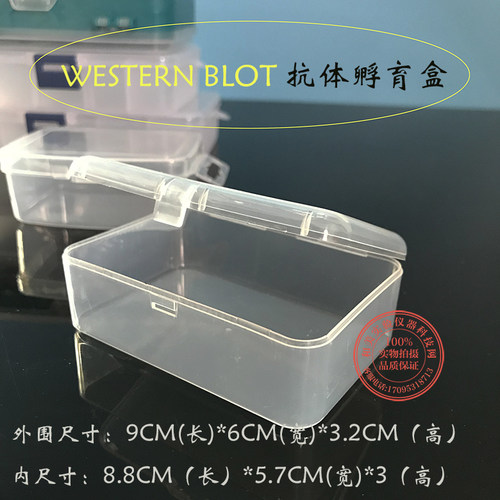 western blot抗体孵育盒 wb抗体孵育 免疫组化湿盒