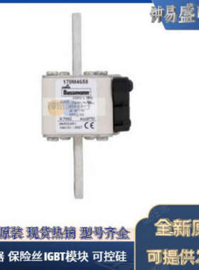 美国BUSSMANN熔断器170M4180 170M4181 170M4182 170M4183