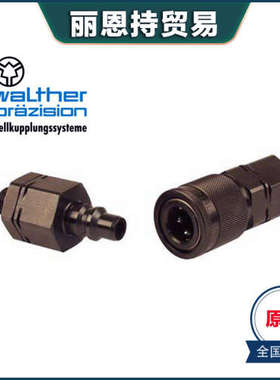 德国FRIZLEN 扁平电阻器T300 FGFLQ 3100604 货期短 FZB系列