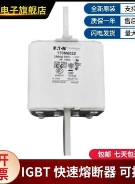 供应正品原装170M6020 170M6021巴斯曼熔断器货源充足