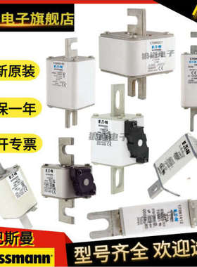 巴斯曼全系熔断器170M5494 170M5495 170M5496 170M5497原装正品