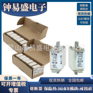 170M2670 170M2620 全新现货 350A Bussmann熔断器690V