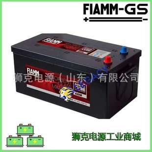 12V12AH精密设备系统电瓶 21202 意大利FIAMM GS蓄电池FG