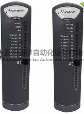 ICS TRIPLEX T8461C数字量输入模块