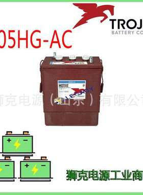 Trojan邱健蓄电池J305G-AC美国邱健6v315ah观光车 高尔球夫车用