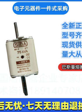 全新西霸熔断器   2040404 250A  2040404 300A