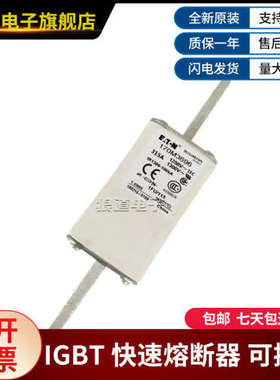 巴斯曼170M3692 170M3693 170M3694 170M3695 170M3696快速熔断器