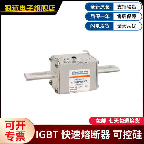A110UD71LLI630-P300669 A110UD72LI700-Z300678罗兰快速熔断器