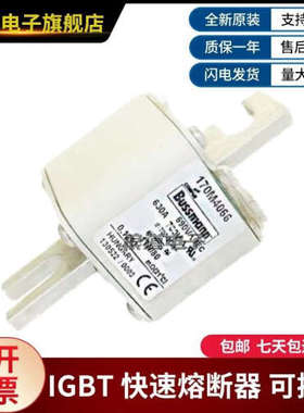 供应正品原装170M4066 170M4067 170M4068 170M4069巴斯曼熔断器