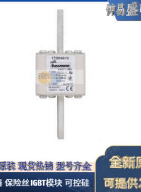 美国BUSSMANN熔断器170M5112  170M5113  170M5114  170M5115全新