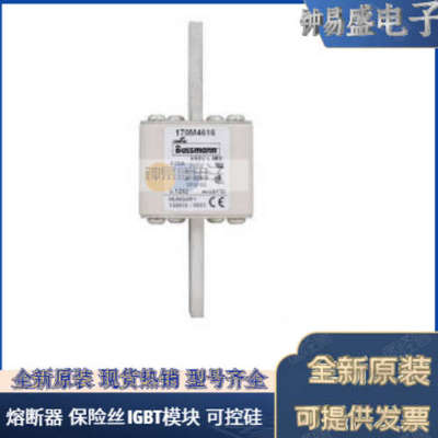 美国BUSSMANN熔断器170M5112  170M5113  170M5114  170M5115全新