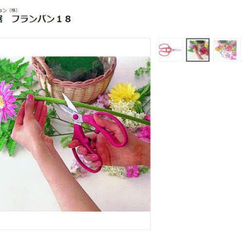 森川贸易日本爱丽斯ARS\t剪刀\tFL-18-BP其他剪刀