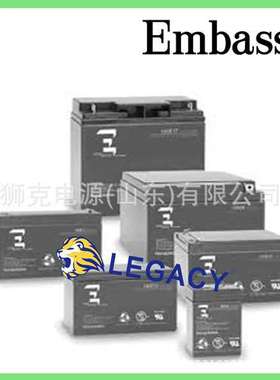 美国EMBASSY蓄电池6CE220、12CE12F2、12CE75、6CE7.5铅酸电瓶