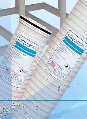 LIQUATEC大流量折叠滤芯MFH-C50-5-EXI