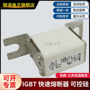 170M2620 170M2621低压熔断器BUSSMANN巴斯曼