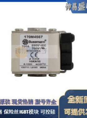 美国BUSSMANN熔断器170M5616  170M5617  170M5618