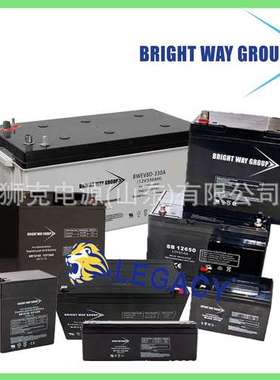 美国BRIGHT WAY GROUP蓄电池BW HR12-36W F、BWHR 12-6OW FR电瓶