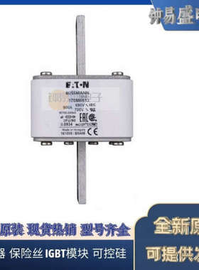 美国BUSSMANN熔断器170M6212  170M6213  170M6214  170M6215