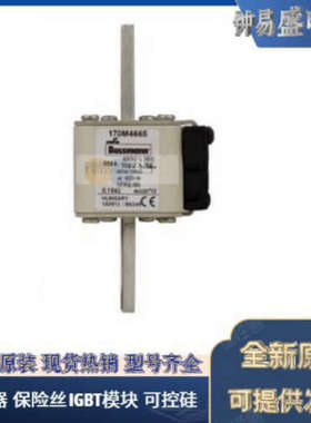 美国BUSSMANN熔断器170M4802 170M4803 170M4804 170M4805全新