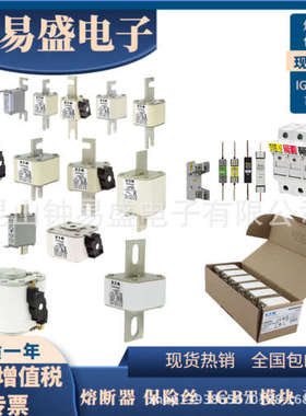 全新原装Bussmann熔断器170M2691 170M2692 170M2693 170M2694