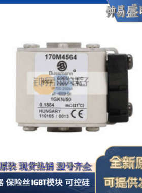 美国BUSSMANN熔断器170M5266  170M5267  170M5268全新
