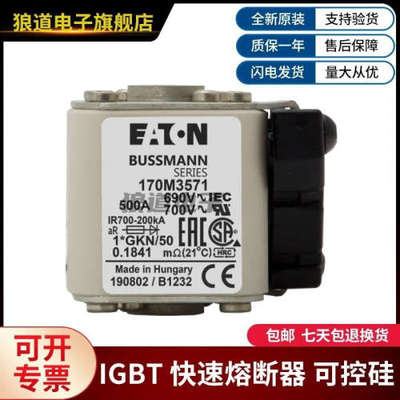 巴斯曼熔断器 型号齐全现货170M3570 170M3571 170M3572 170M3573