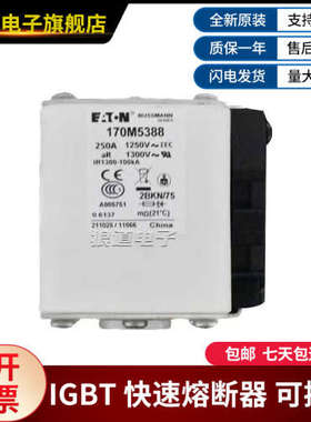 巴斯曼 170M5388 170M5389 170M5390 170M5391熔断器 极速发货