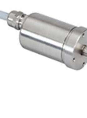 原装正品BERTHOLD48452-11 ，LB 6739-11 CsI 40x50 mm