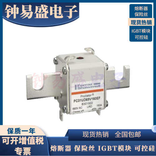 全新罗兰熔断器PC31UD69V250D1A J300020/PC31UD69V250EF D300038