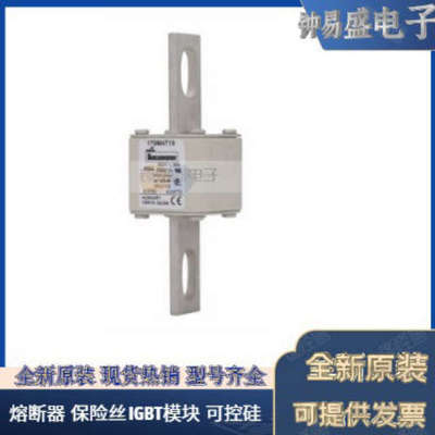 美国BUSSMANN熔断器170M4658  170M4659  170M4660  170M4661