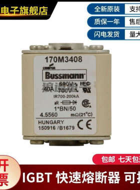 巴斯曼熔断器 型号齐全170M3408 170M3409 170M3410 170M3411现货