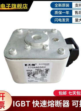 巴斯曼熔断器 型号齐全现货170M6562 170M6563 170M6564 170M6565