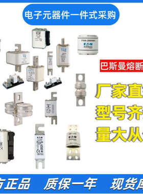巴斯曼bussmann熔断器170M5161 170M5162 170M5163 170M5164