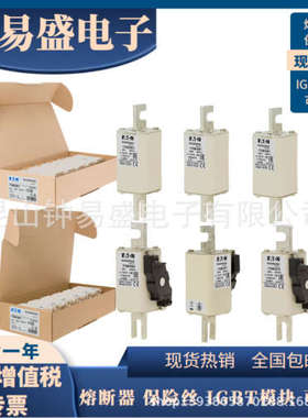 巴斯曼Bussmann熔断器1000V  80A   170M3967170M3983