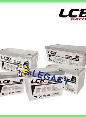 瑞士LCB BATTERY蓄电池12N24-4A、CHP200-2、CHP500-2免维护电瓶