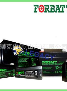 美国FORBATT 蓄电池FB100-12G、FB200-12G(1)、FB1223电瓶