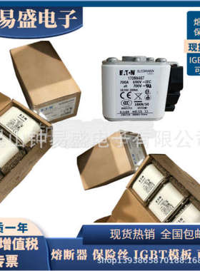 全新原装 巴斯曼熔断器170M3417 170M3420 170M3421 170M3473