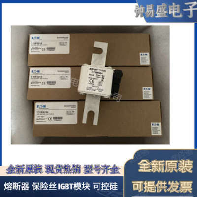 美国BUSSMANN熔断器  170M4017 170M4018 170M4019  巴斯曼熔断器