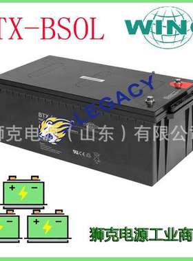 德国BSOL蓄电池BFX12-200消防电力通信12V200AH免维护EPS电瓶