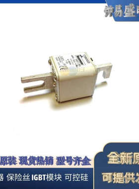 美国BUSSMANN熔断器170M3416  170M3417 170M3418  170M3419