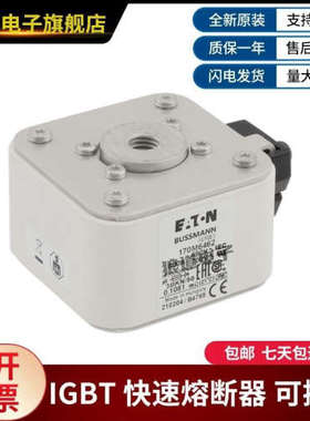 全新原装熔断器170M7636 170M7639 170M7963 170M7090货源充足